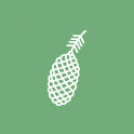 green pine cone icon