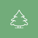 green pine tree icon