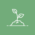 green plant icon